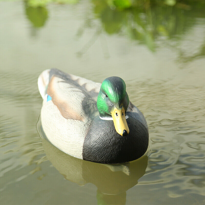 2x Fishing Hunting Decoy Plastic Duck Decoy Drake