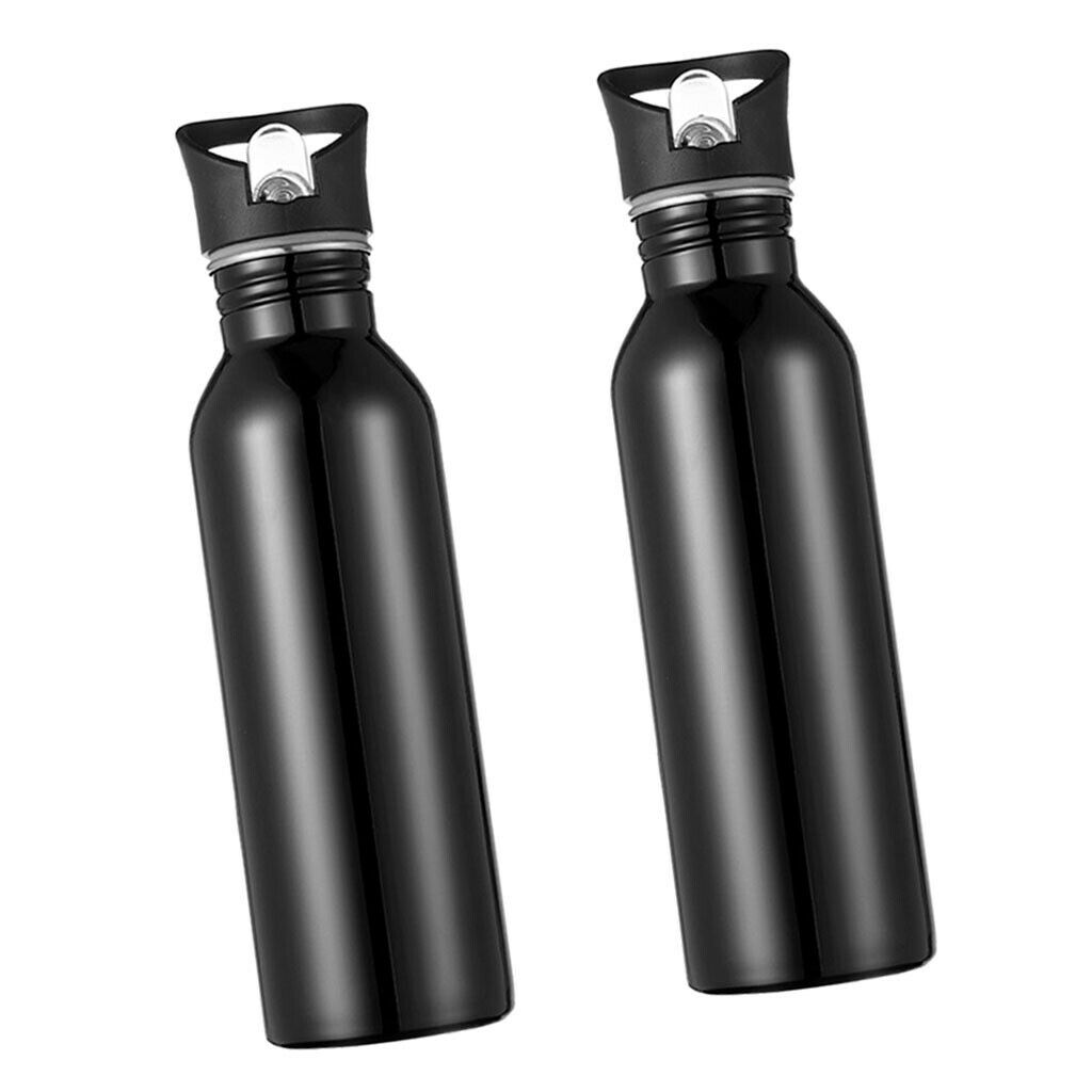 Sports Water Bottle Stainless Steel Flask 26oz Hiking Picnic Straw Cup