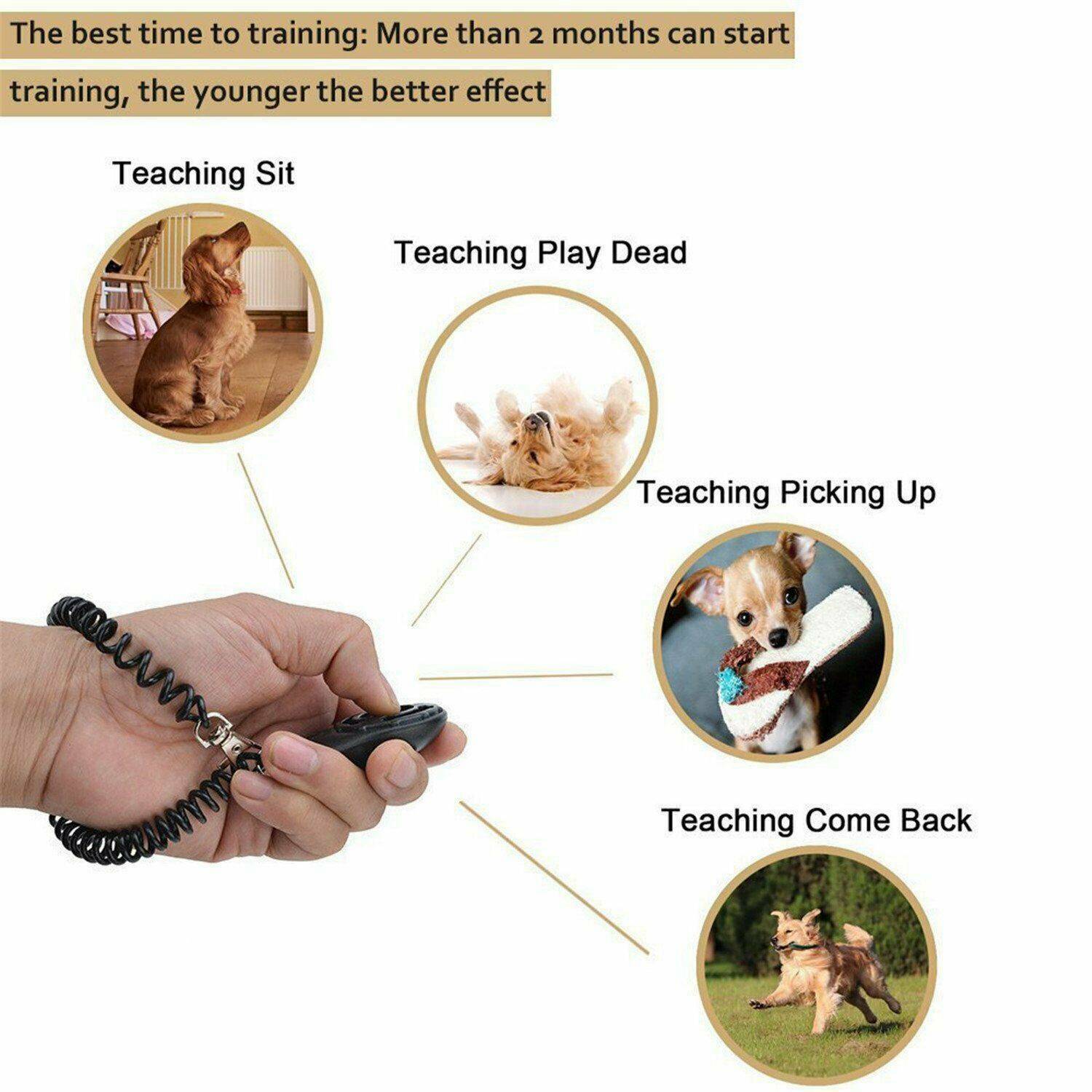 Professional Dog Training Clicker Trainer Tool For Dog Puppy Puppies Keyring