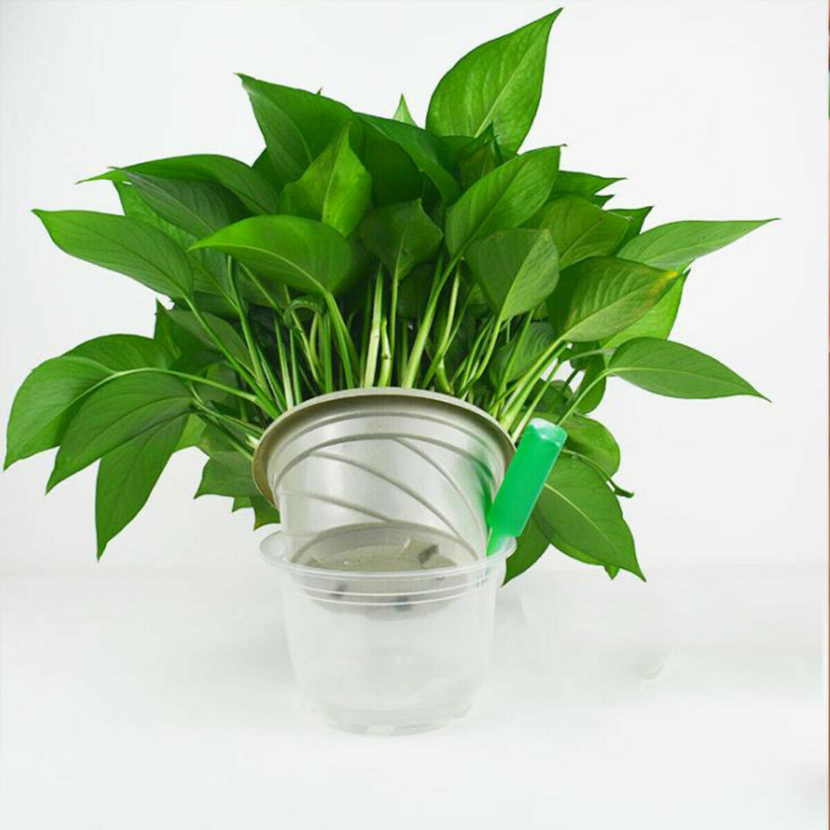 Growth Technology Nutrients Hydroponic liquid plant fertilizer Nutrient Solution