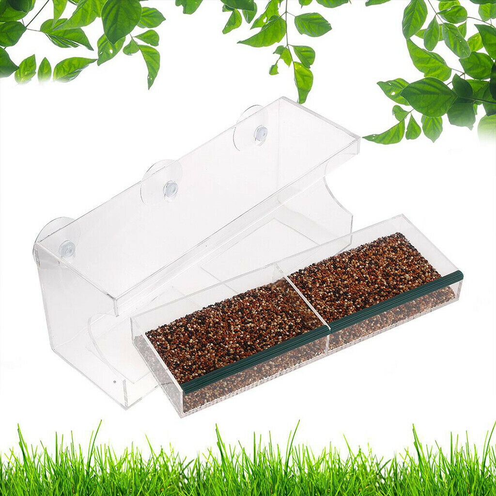 Hanging Window Bird Feeder Clear Wild Bird Feeder Outside View Up Close Bird