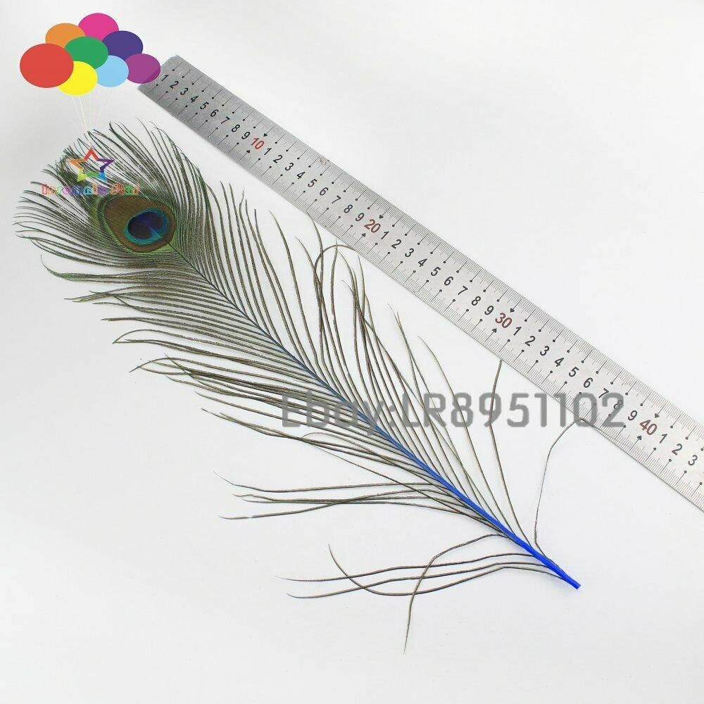100 pcs 40-45 CM peacock feather sapphire plumage performing plume decoration