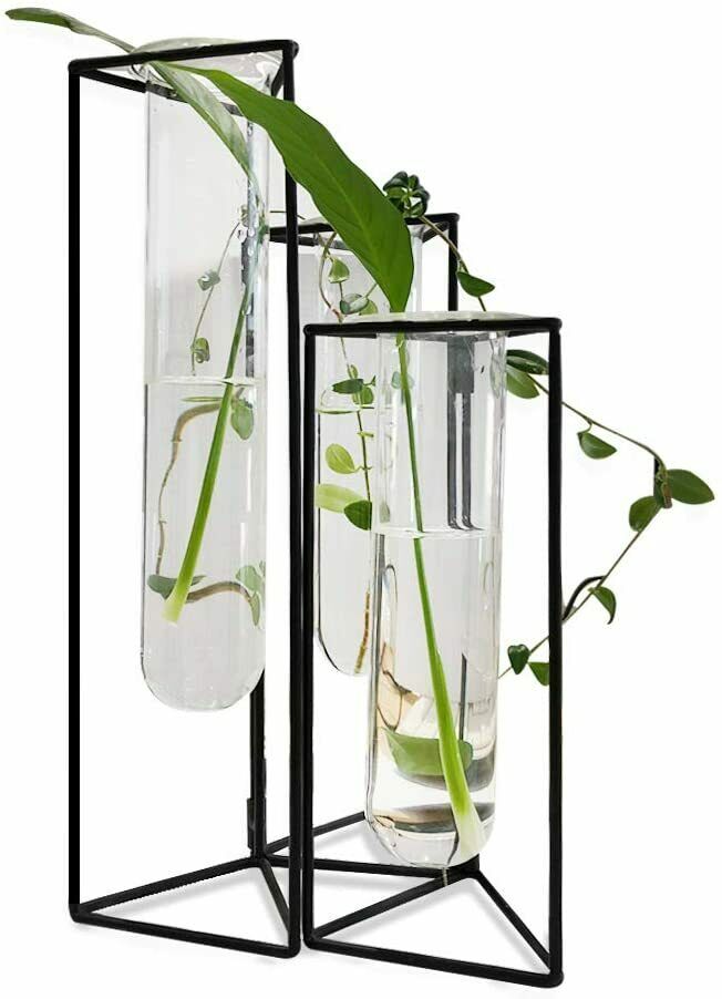 Glass Test Tubes Vase Flower Hydroponic Planter Stand Rack Decor with Iron Frame