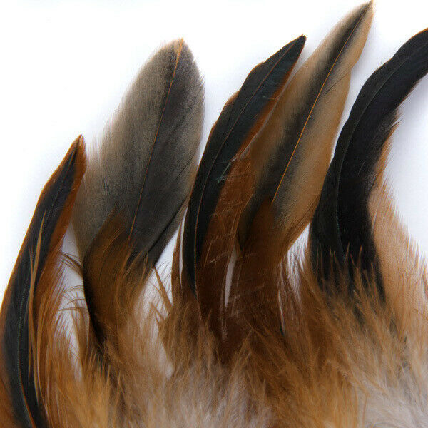50pcs Natural Rooster Cock Feathers Fascir Costume DIY Sewing Craft 2-6