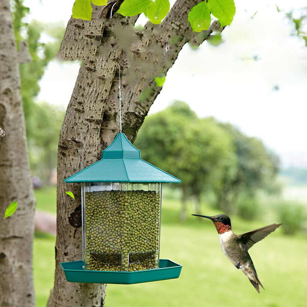 Bird Feeder Clear Garden Decoration Gazebo Wild Bird Feeder Panorama Plastic