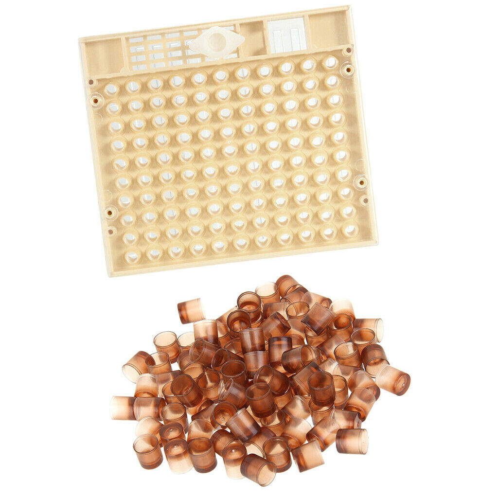 Cage Function Bee Queen Matchbox Movement Tool Beekeeping Collector with 100