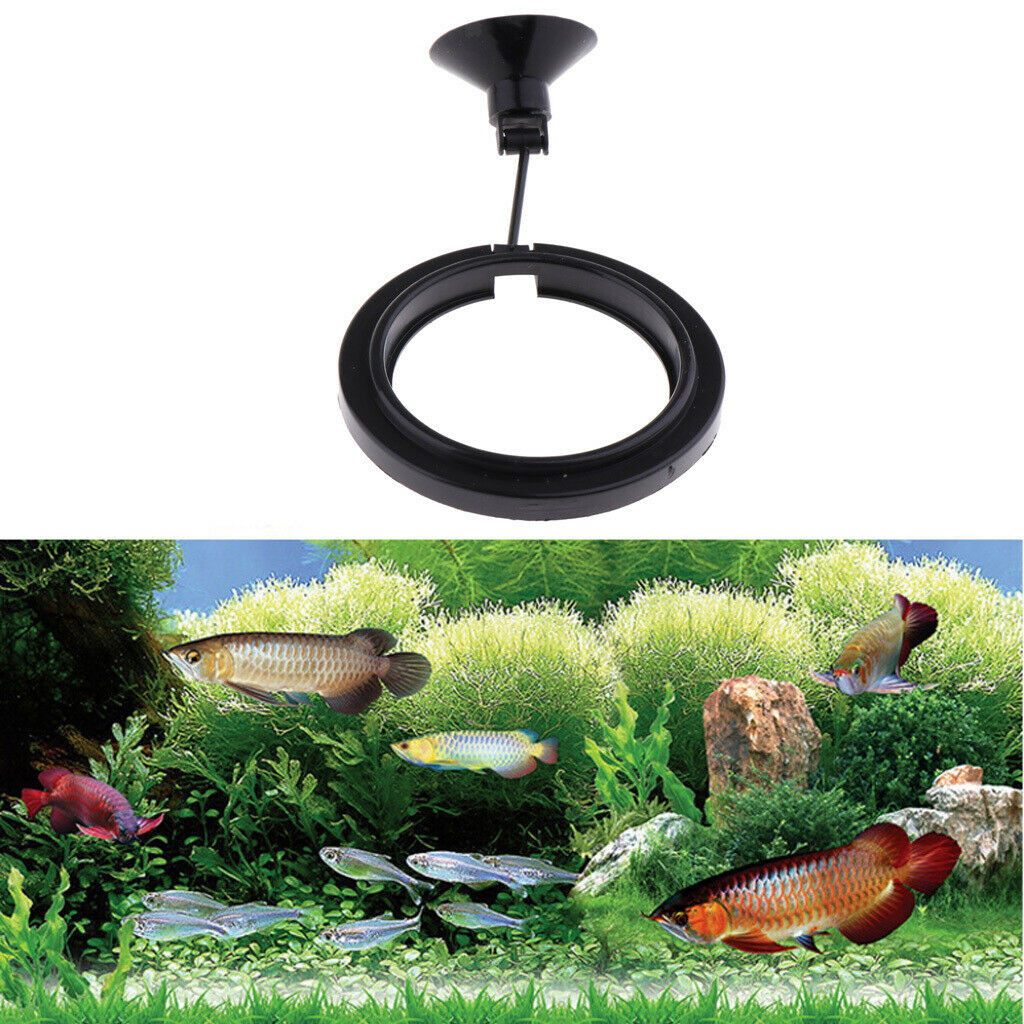 10 Packs 10x Fish Tank Fishes Feeding Circle w/ Suction Cup for Aquarium
