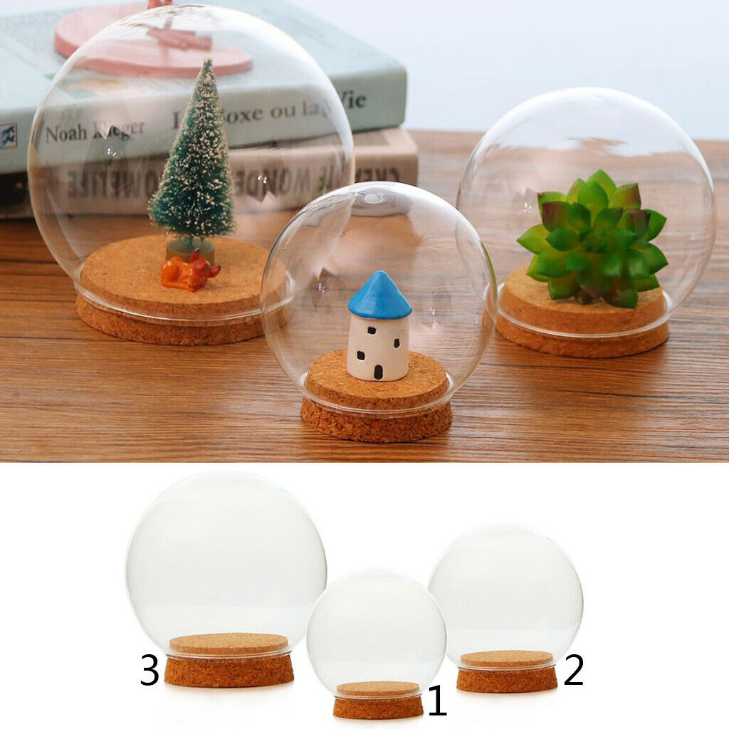 Ball Shaped Glass Cleal Dry Flower Container Succulent Terrarium Bottle