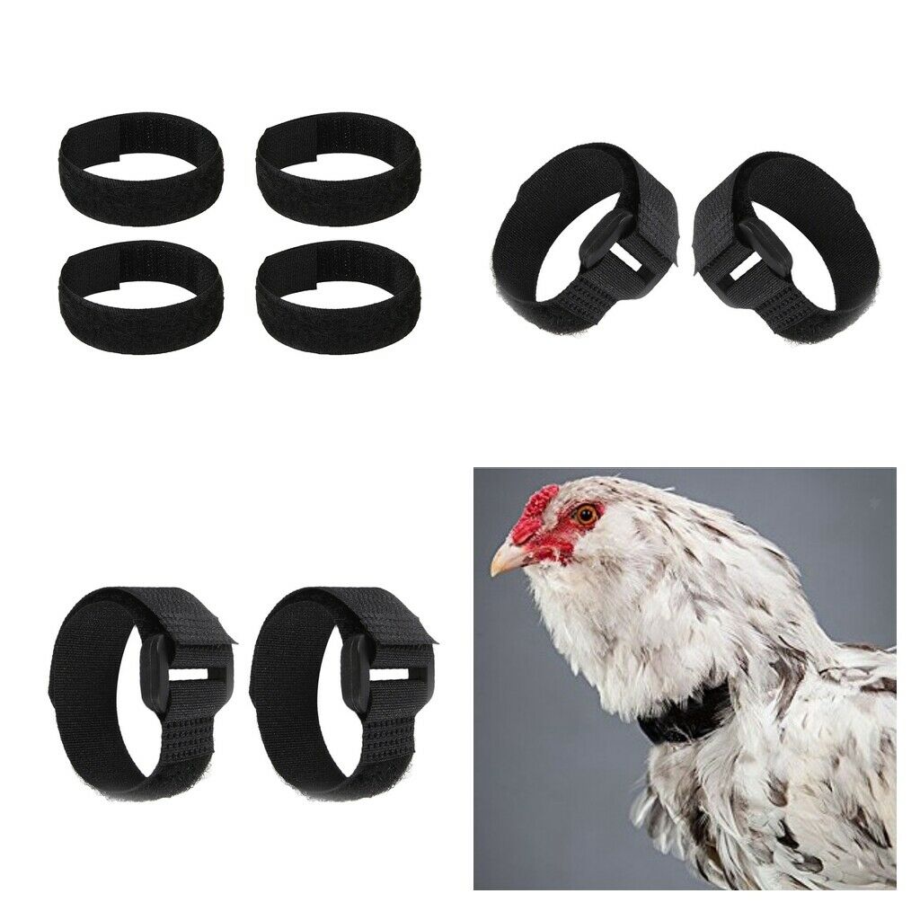 Set of 8 Rooster Collar Prevent Chicken from Screaming For Rooster Goose