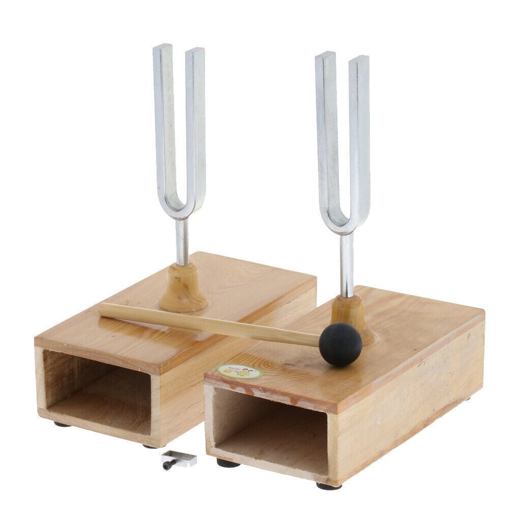 Resonant Tuning Fork 440HZ with Wooden Resonant Box Acoustic Science Tools