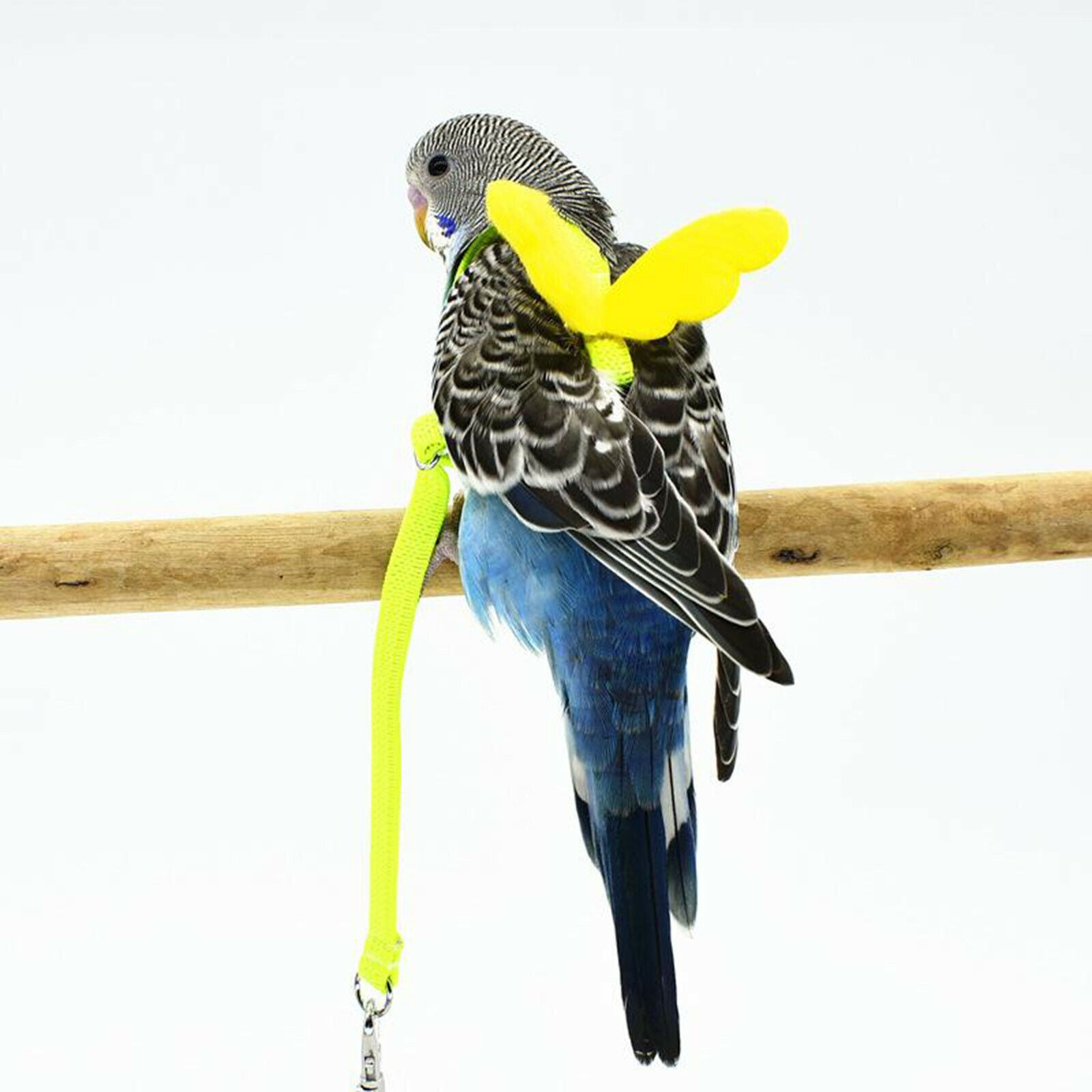 Pet Leash Parrot Bird Adjustable Harness Flying Training Rope Yellow 7mm