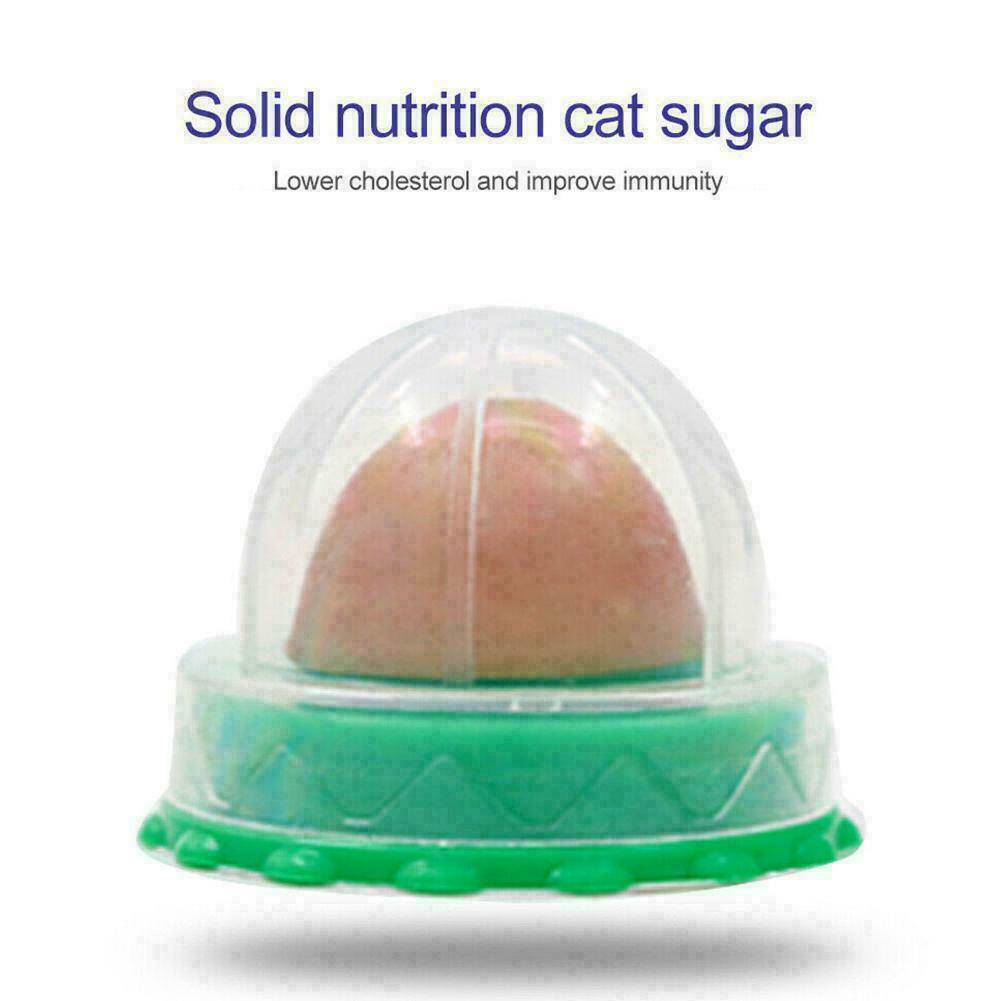 Pets Licking Fun Cat Candy Kitten Licking Toys Various Catnip K4O4 Of new