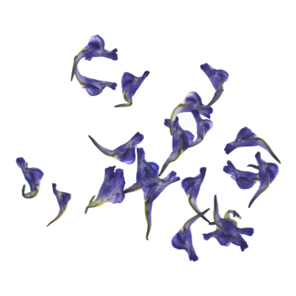 12 Pieces Of Real Dried Leaves Handmade Pressed Flower Dried Flowers For