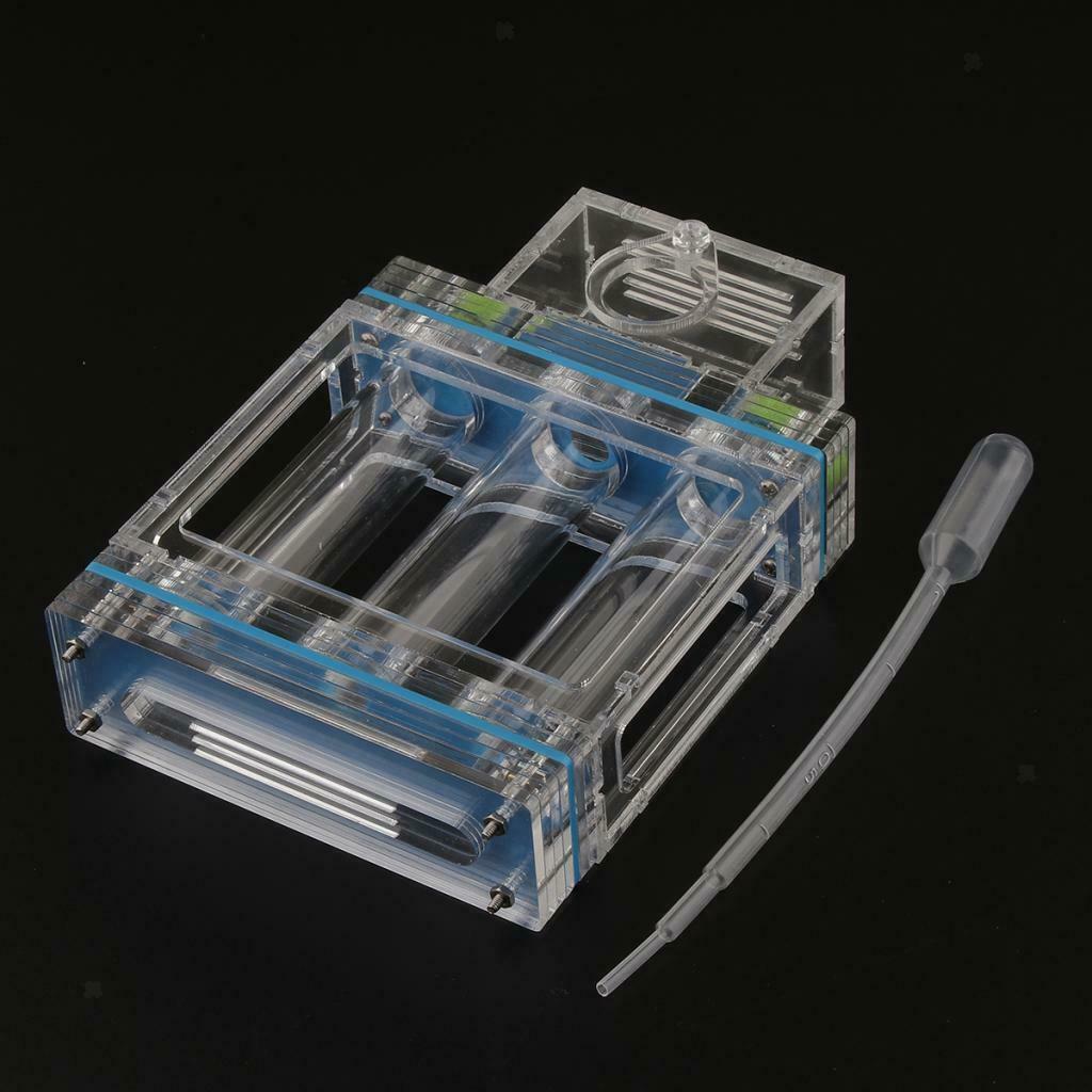 1pc Ant Nest Housing Ant Farm Box Formicarium Display Case Small Large Ant