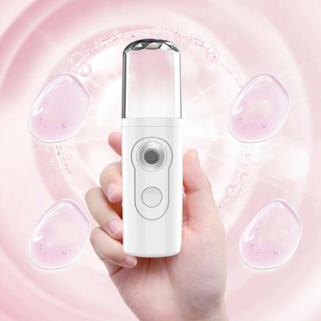 2x Mini Facial Humidifier Spa Mist Face Spray Machine Atomization Salon