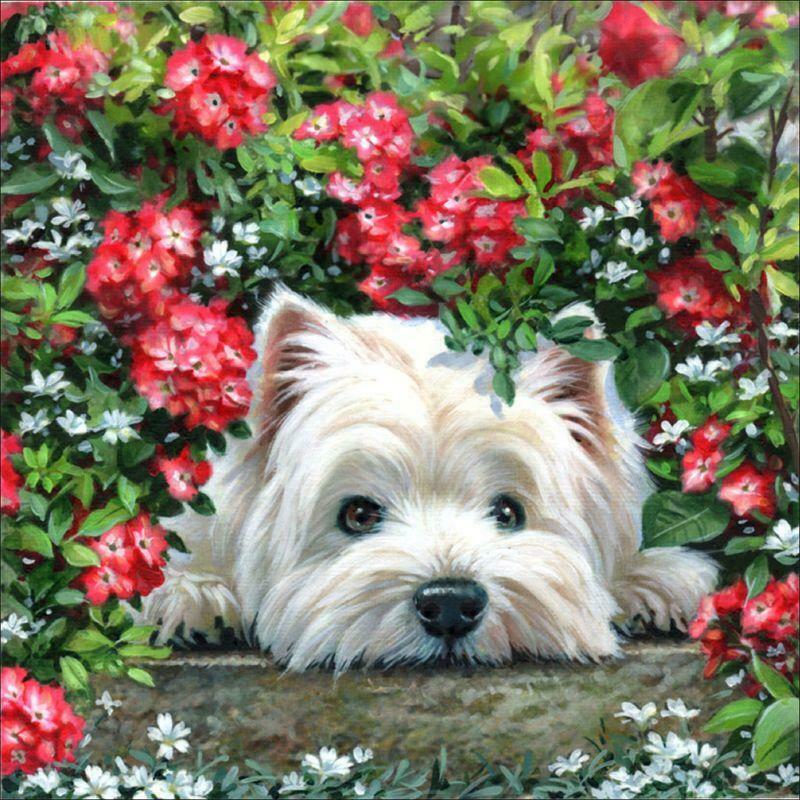 Kneeling Dog DIY 5D Full Drill Diamond Painting Embroidery Crystal Cross Stitch