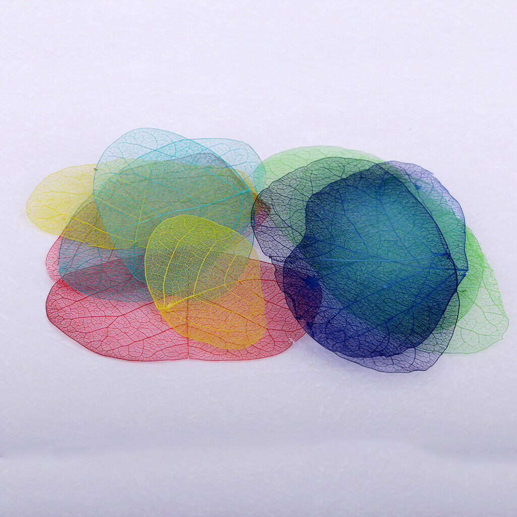 10x Multiple Pressed Flowers Dried Flowers Leaves For DIY Scrapbooking 1