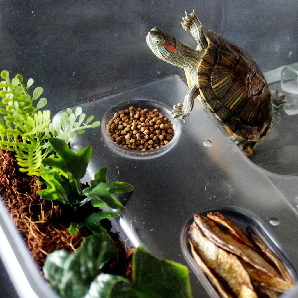 Reptile Tortoise Turtle Habitat Terrarium Tank Box with Lamp Holder White