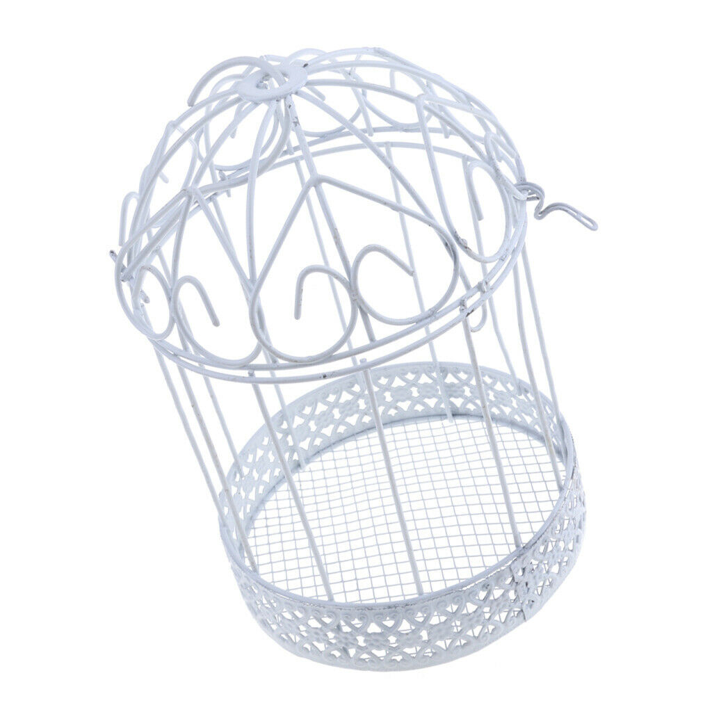 Iron Birdcage Frame Wire Succulent Pot Metal Planter Iron Plant Basket 13cm