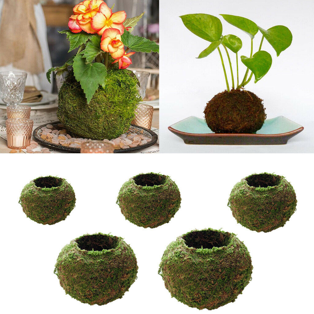 2pcs Naturally Green Moss Ball Flowerpot Plant Holder Garden Ornament Holiday