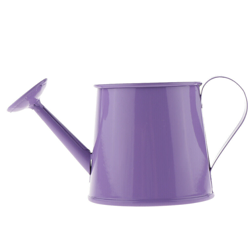 1Pcs Pastoral Style Watering Can Iron Flower Barrel DIY Spray Kettle Purple