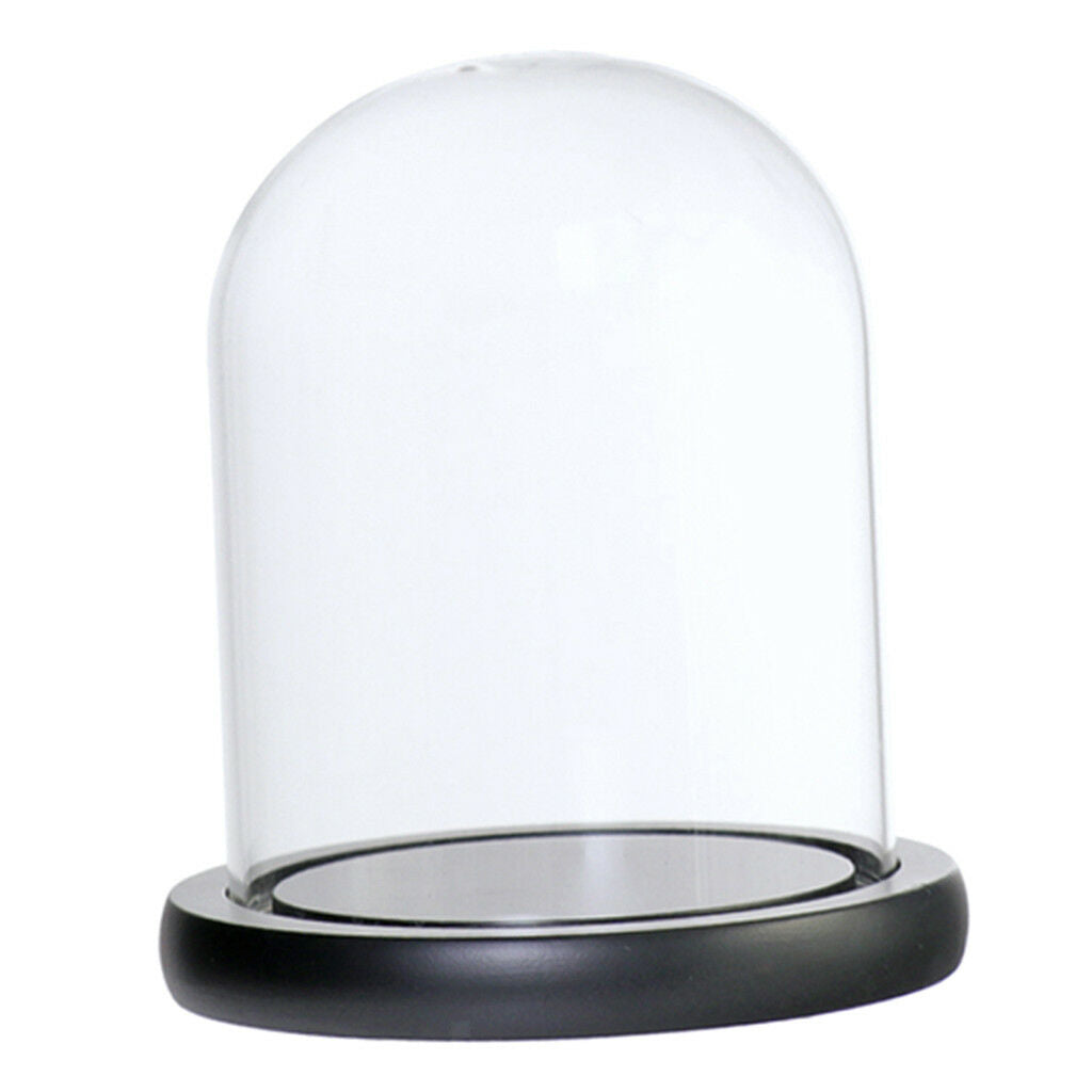 Glass Display Dome Cloche Bell Jar With Wooden Base for DIY Decor_Black C