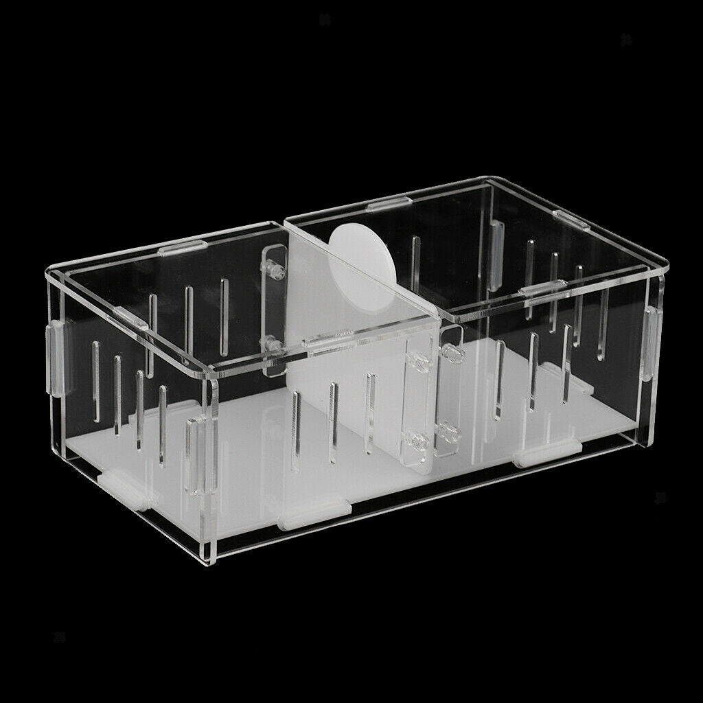 High Transparency Acrylic Reptile Cricket Cage, Fighting Box