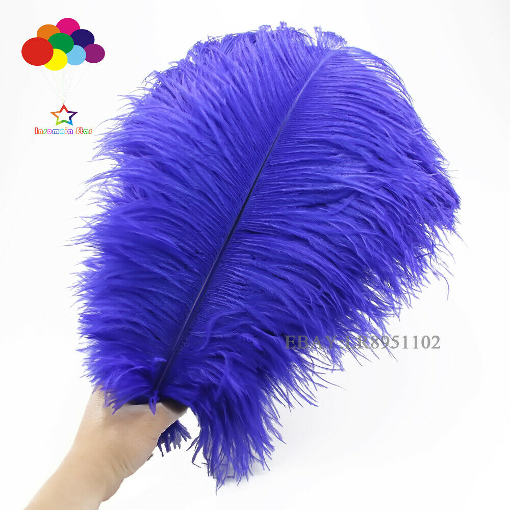 High Quality Royal Ostrich Feather 50 pcs 8-10Inch/20-25CM Home Decor Wedding