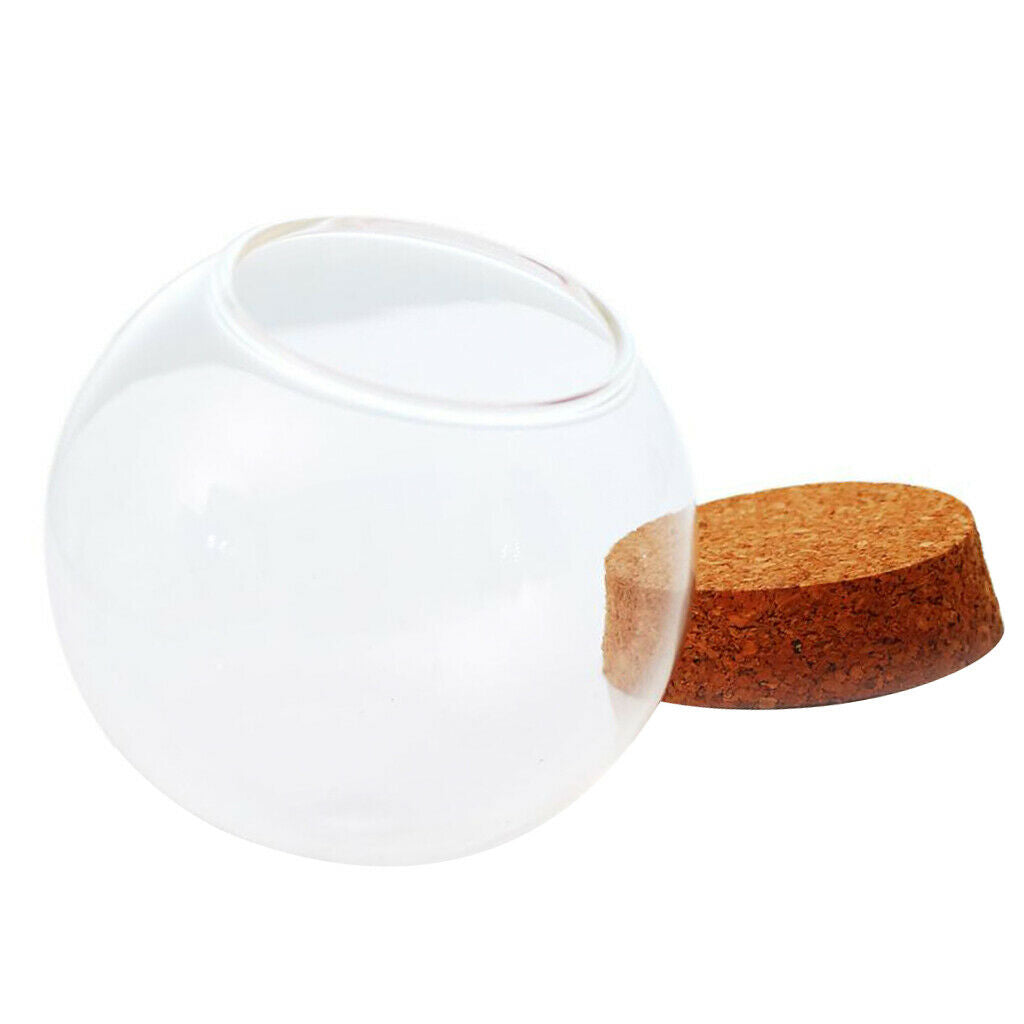 2xDia 12cm Glass Ball Shaped Cover Landscape Terrarium Container Lid Vase