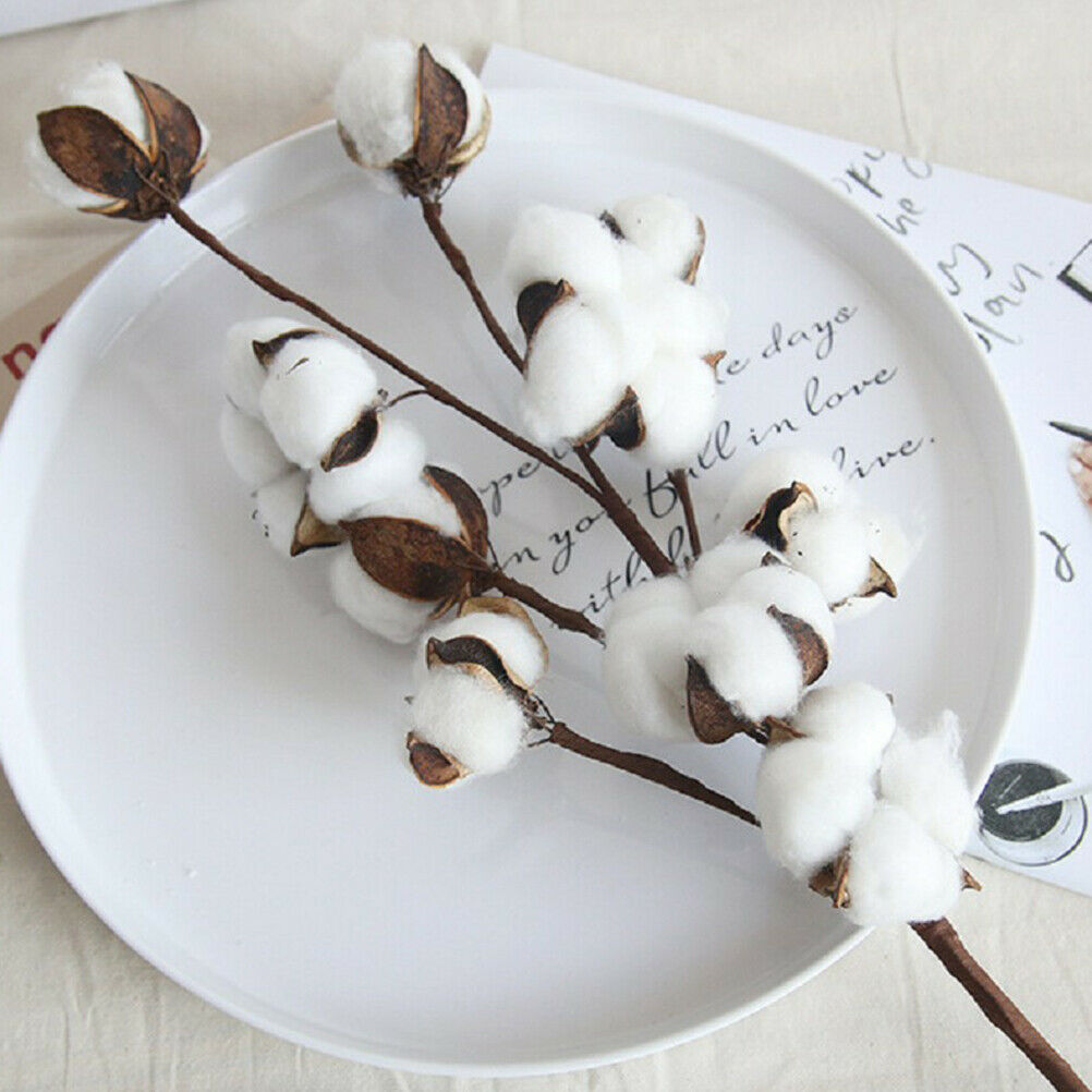 Naturally Dried Cotton Flowers Artificial Plants Wedding Home Decorati.l8