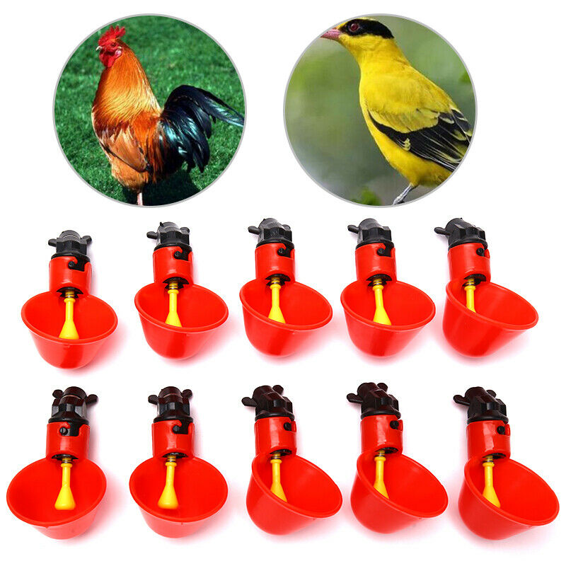 10pcs/lot Chicken Quail Hanging Water Cups Birds Automatic Drinker DrinkingFCA