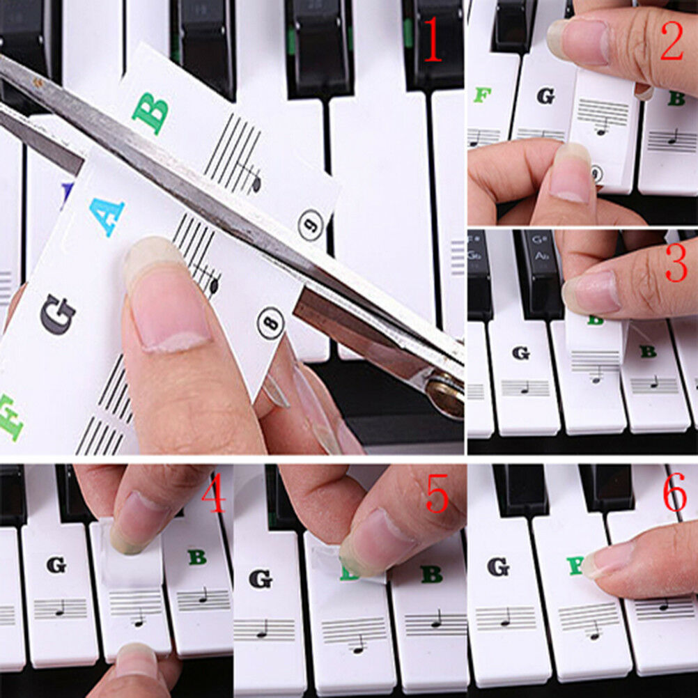 Keyboard Piano Multicolor Removable Piano and Keyboard Stickers for 49 61 76DEAU