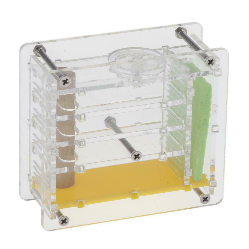 Clear Ant Feeding Nursery Box Ant Farm House Castle For Insect Ant Reptile B