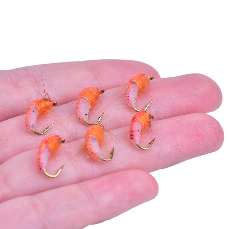 6Pcs/box Realistic Nymph Scud Fly For Trout Fishing Artificial Bait Insect L Lt