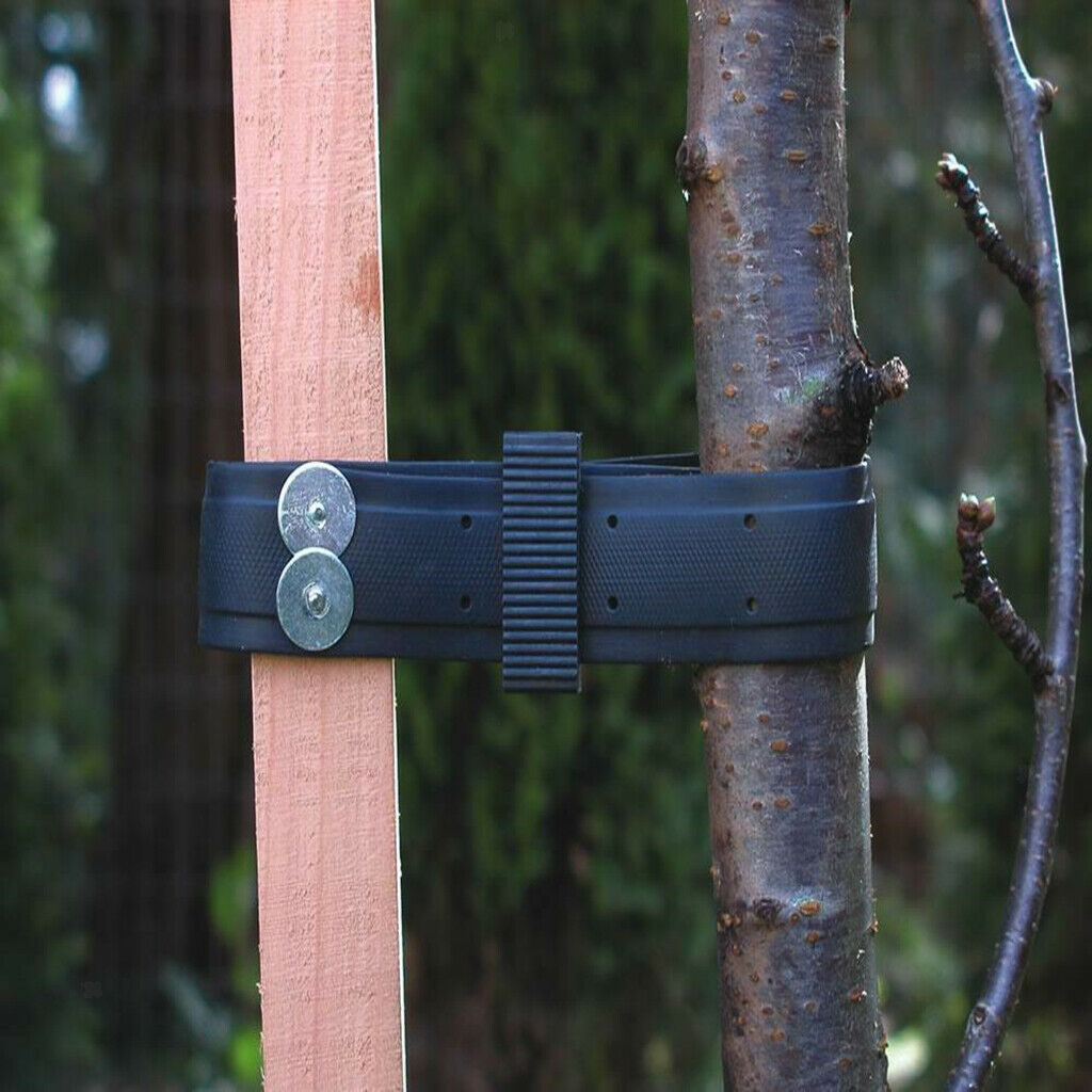 2 Pieces Rubber Tree Tie Strap Stakes Supporting Cables for Tree/Flowers/Plants