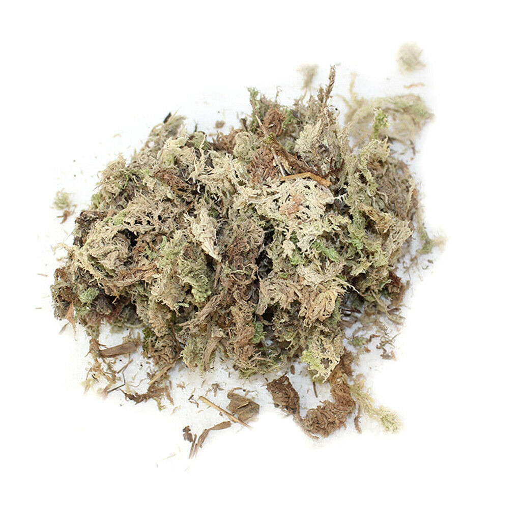 2 Bag Dry Terrarium Sphagnum Moss Succulents Garden Plant Care Fertilizers
