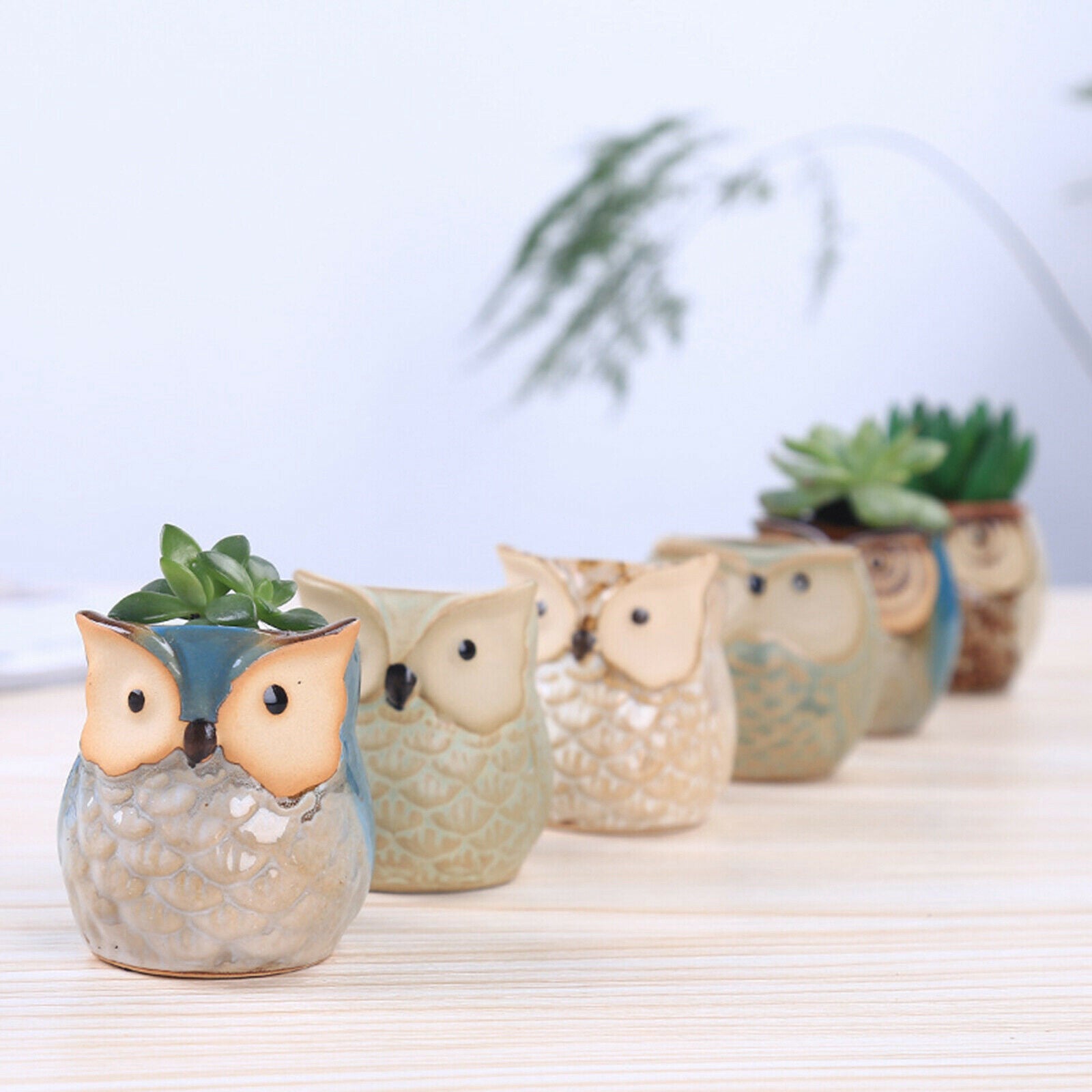 Mini Owl Succulent Plants Pots Flower Potted Plant Desktop Home Office Decor