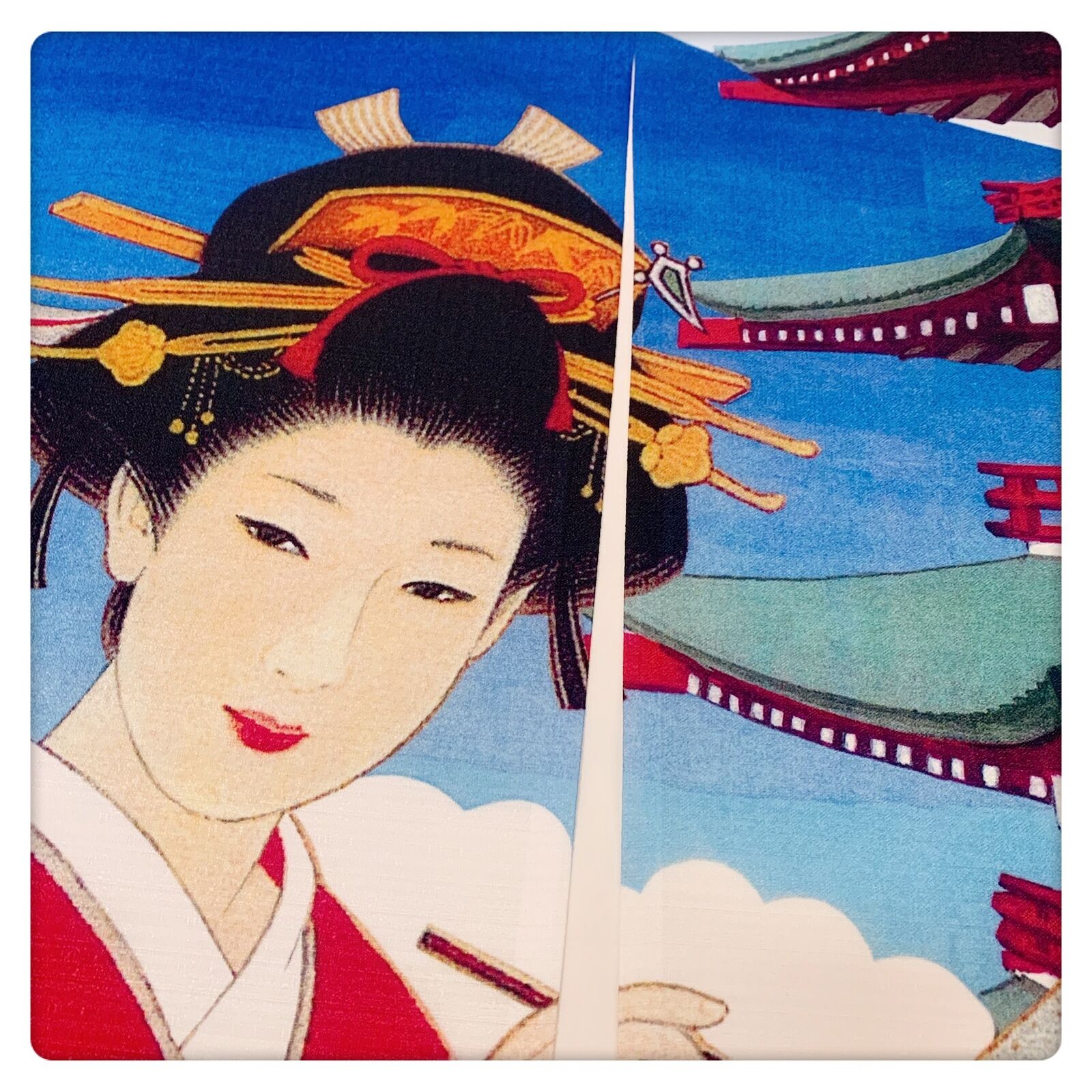Japanese NOREN Door Curtain Traditional Doorway Divider Tapestry Hang Drapes