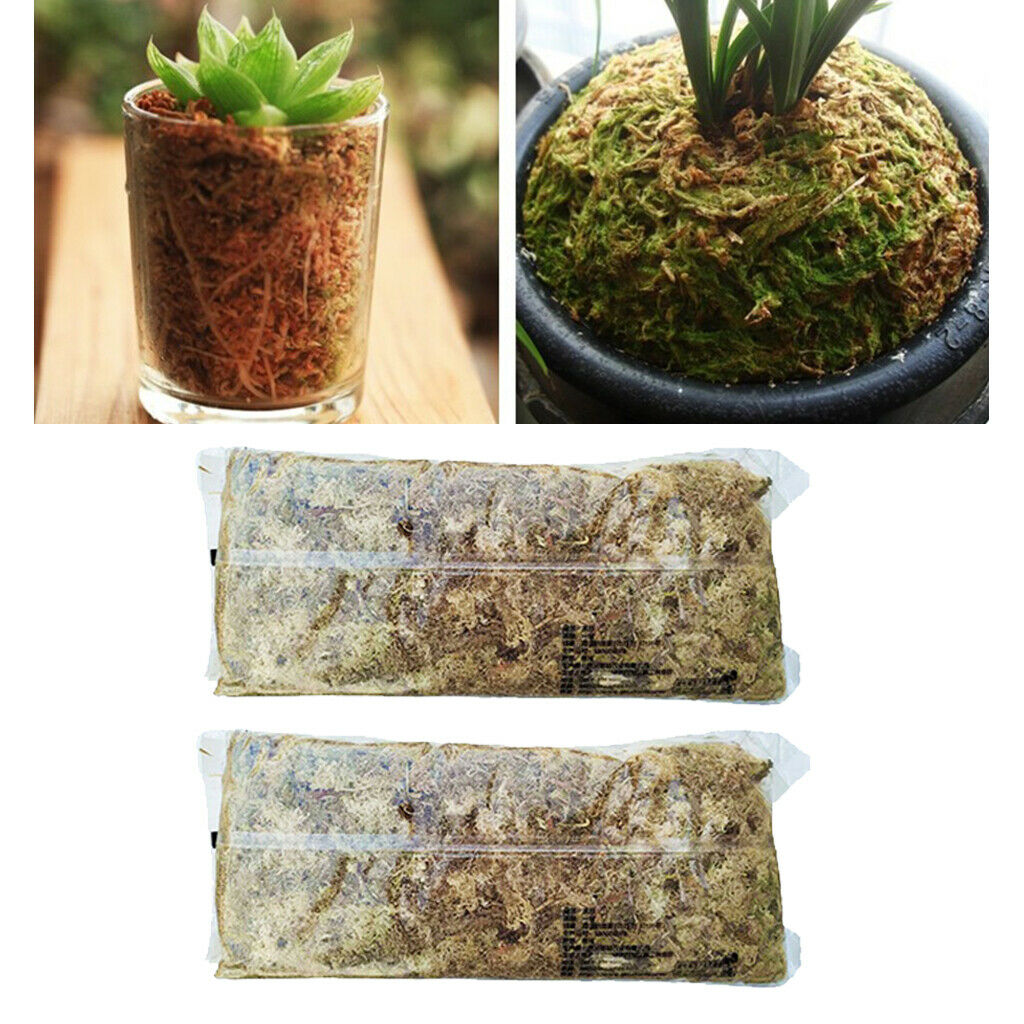 2 Bag Dry Terrarium Sphagnum Moss Succulents Garden Plant Care Fertilizers