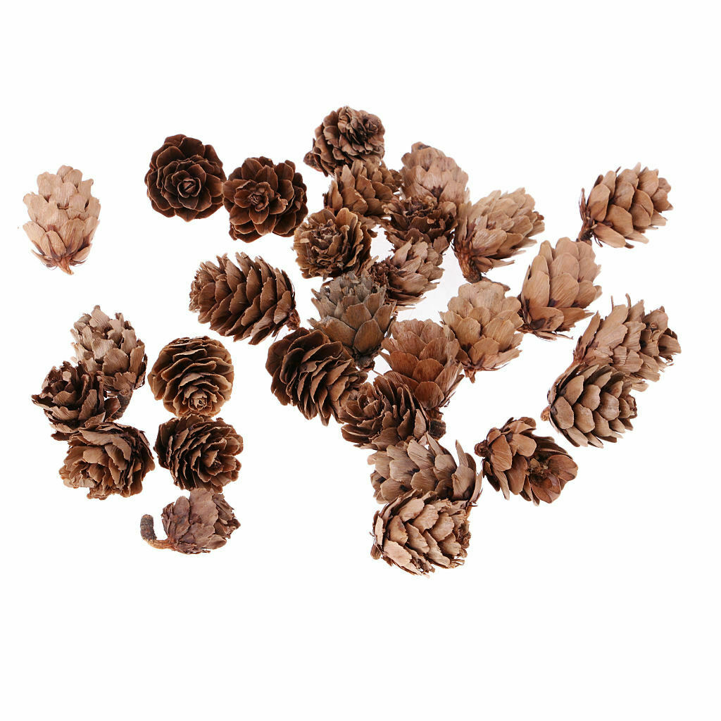 60Pcs Pine Cones Decorative Pine Nuts Pinecone Christmas Hanging Ball Party