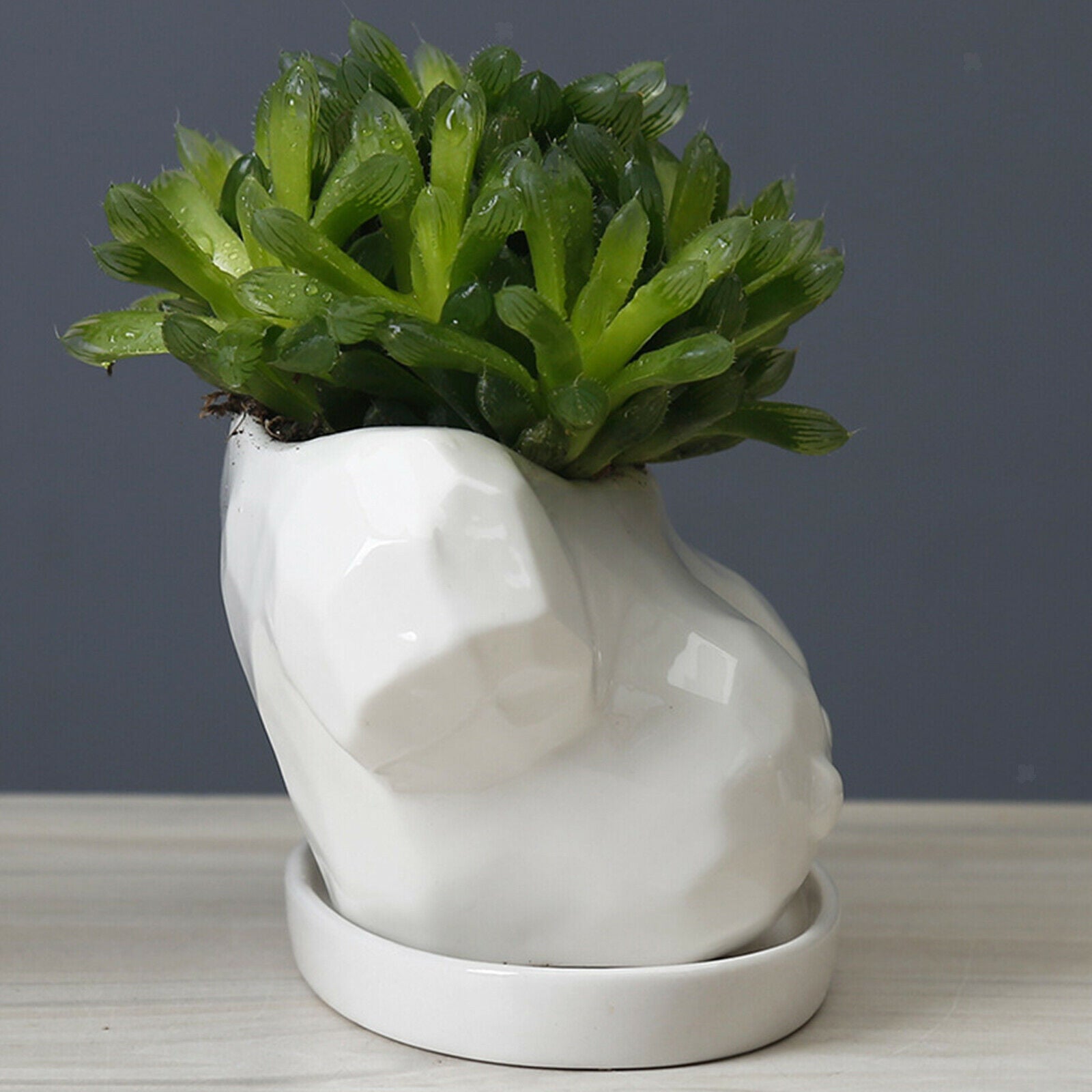 Flower Pots Ceramic Flowerpot Tabletop Decoration Succulent Planter Pot
