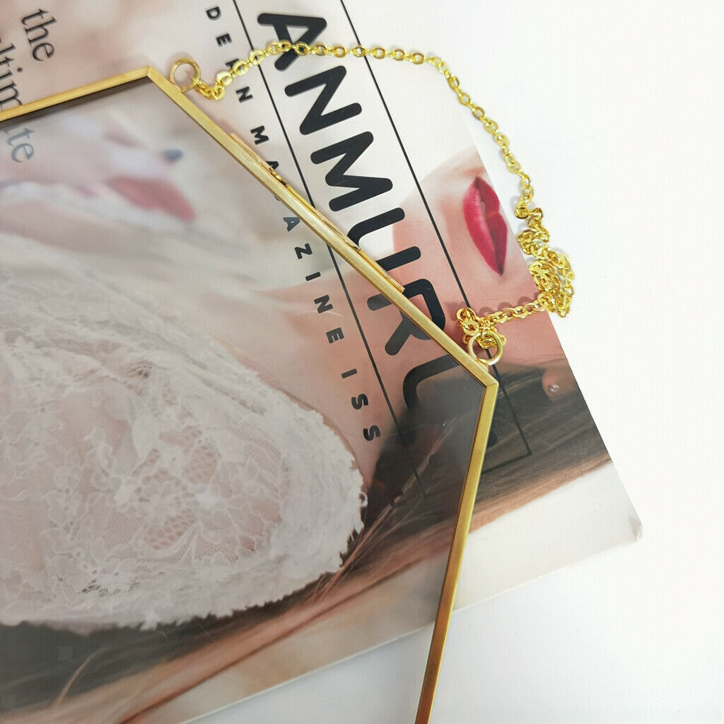Double-sided hanging glass display frame for photo picture plant sample