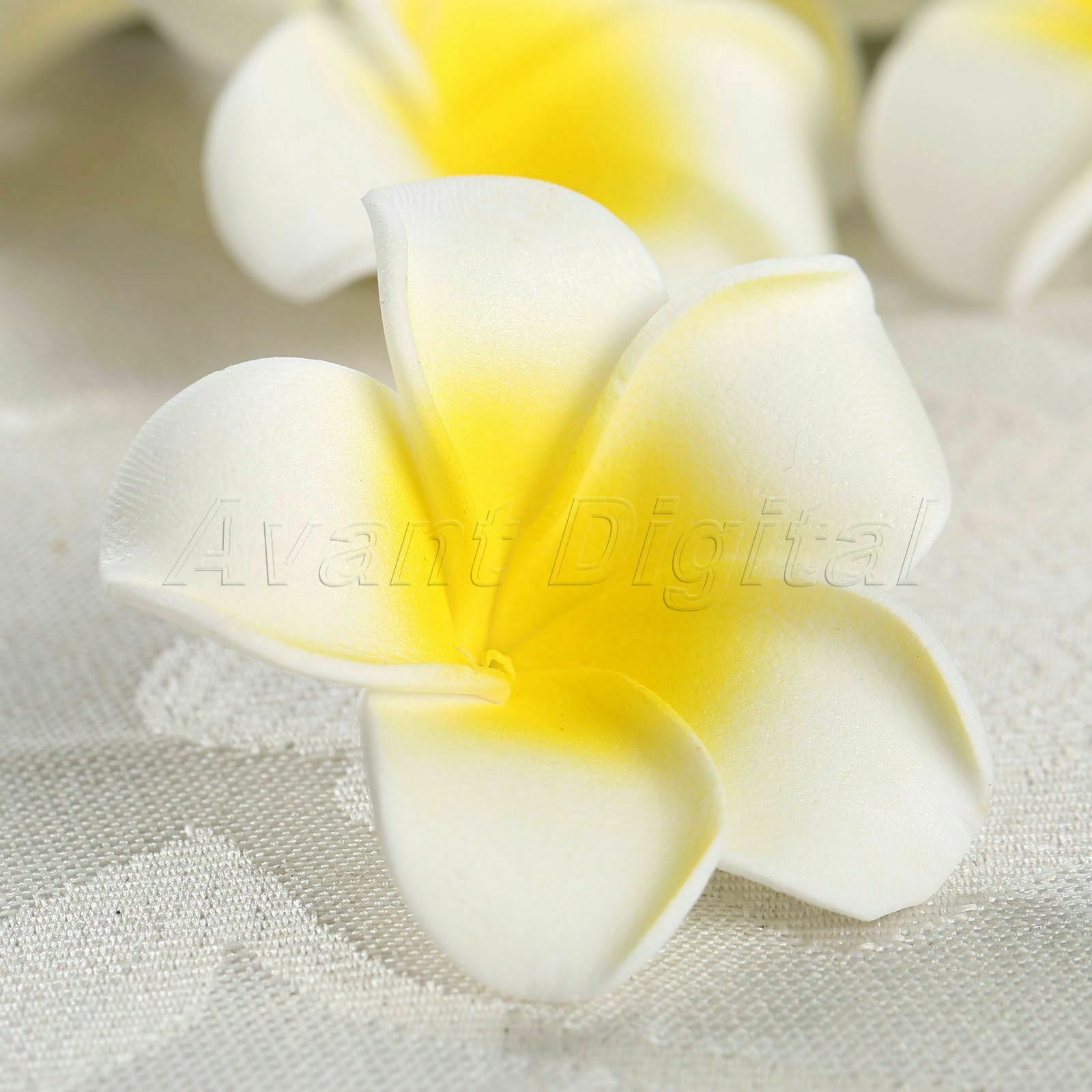Mini Frangipani Flower Party Headwear Foam Plumeria Wedding Decoration Lovely
