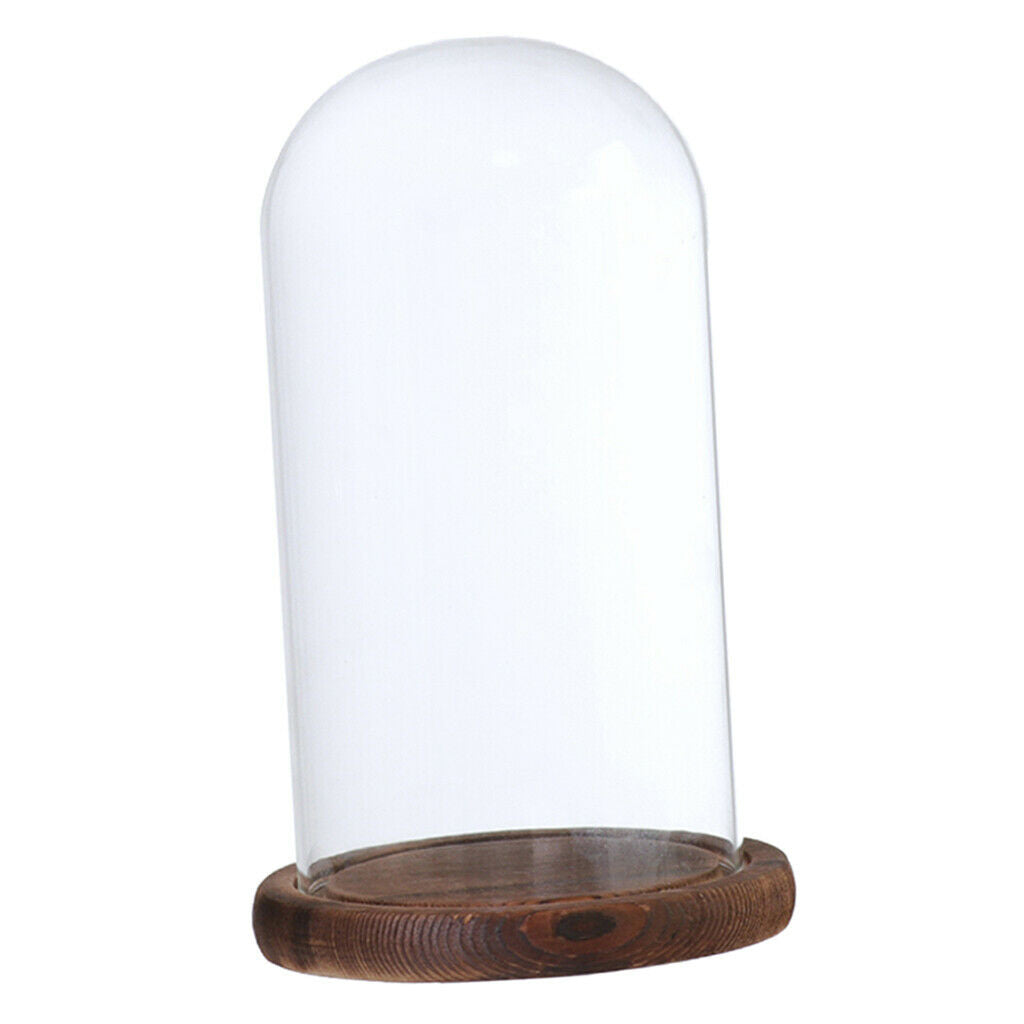 Set of 2 Decorative Cloche Toys Holder Terrarium with Cover & Base for Decor
