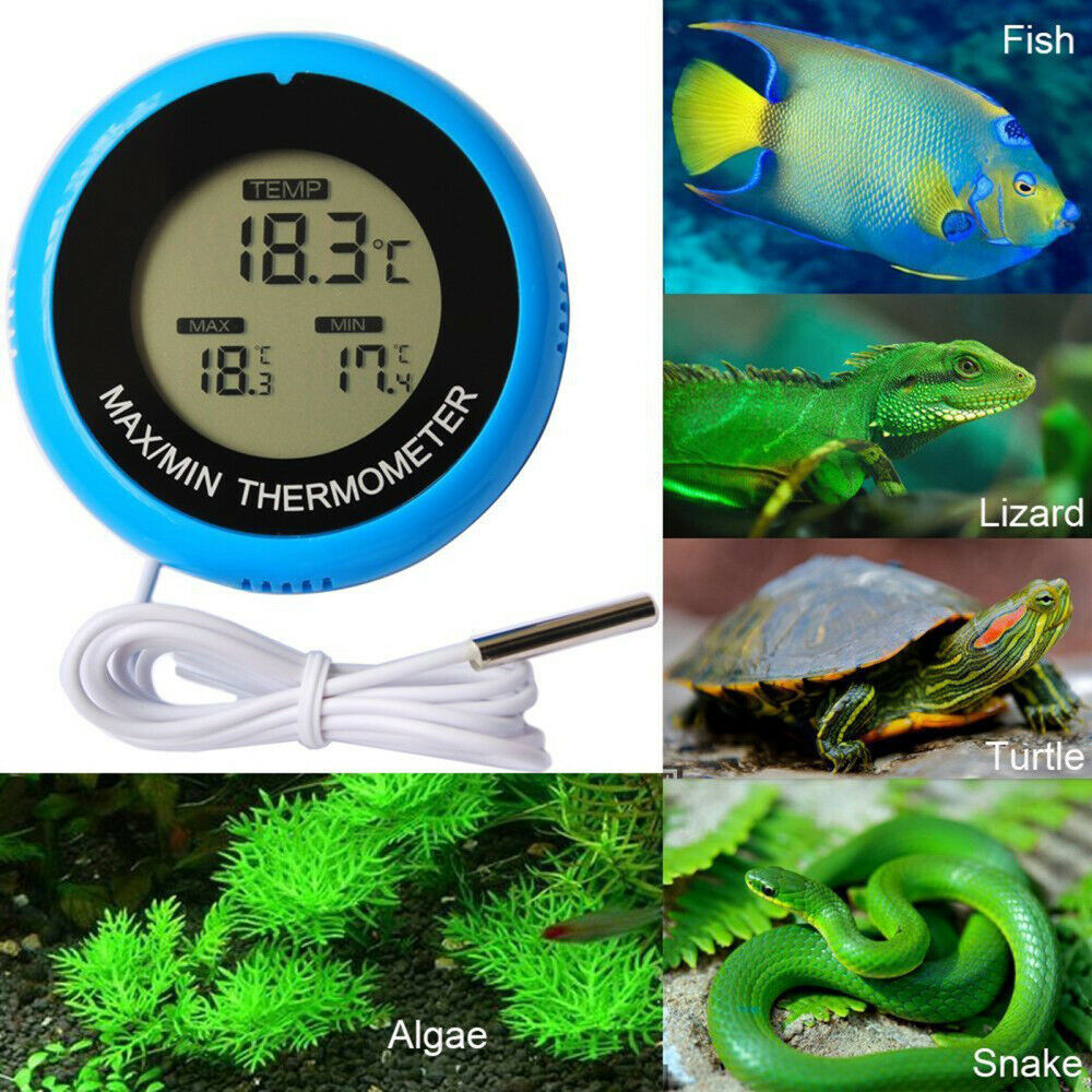 Aquarium Fish Tank Thermometer Reptile Habitats High Precision Temperature Meter