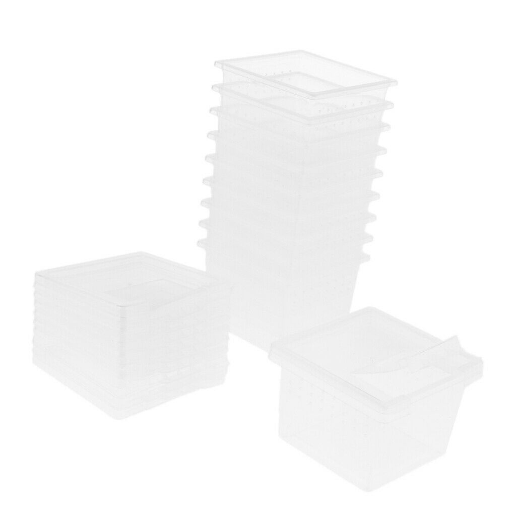 10x Reptile Lizards Feeding Box Turtle Feeding Tank For Reptile Frogs Snakes