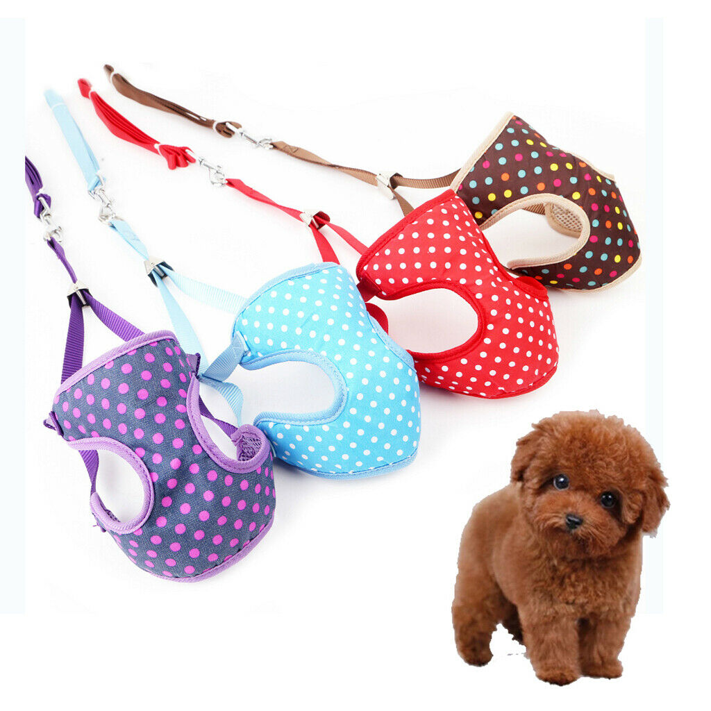Colorfol Dot Print Pet Dog Adjustable Harness Leash Lead Pet Vest S Blue
