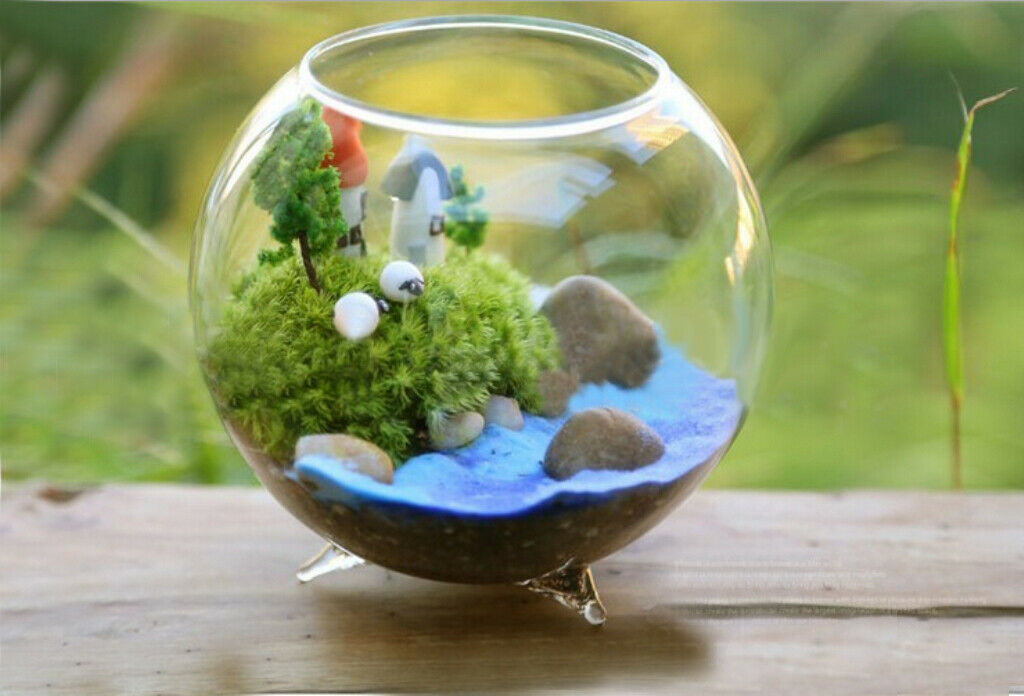 6pcs Standing Glass Hydroponic Flowers Vase/ Fairy Garden DIY Terrarium