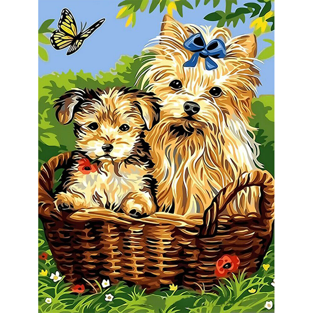 Painting By Numbers Kit DIY Two Dogs Canvas Oil Wall Picture Home Artwork @