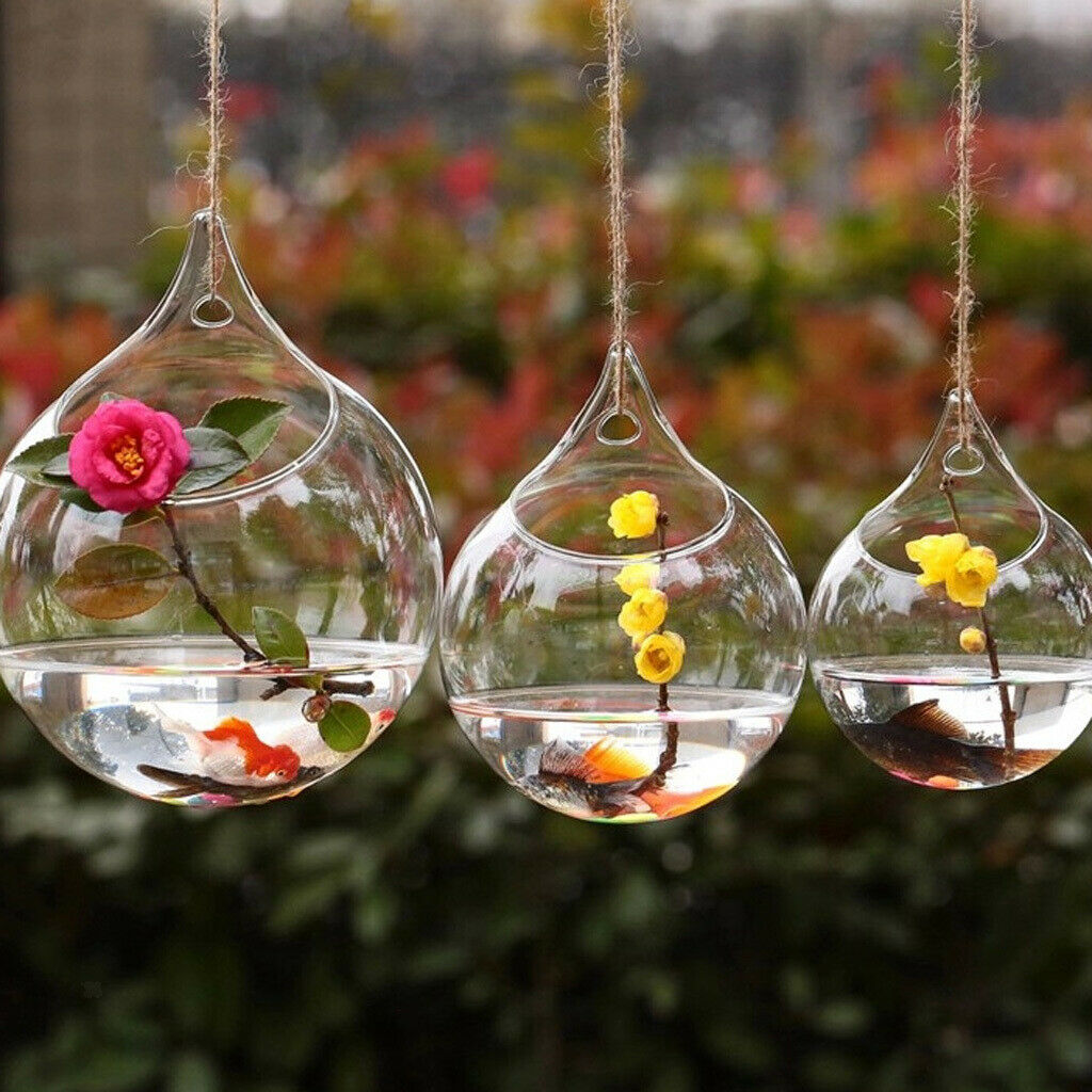 2x Flower Plant Hanging Clear Glass Vase Bottle Pot Wedding Garden Ball Decor